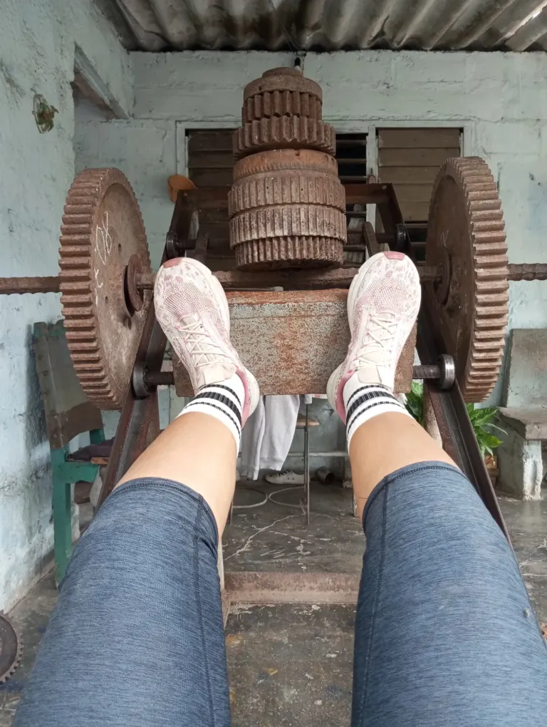 5LcIZuAaqUqWmhBj_IMG_20250707_095918.webp