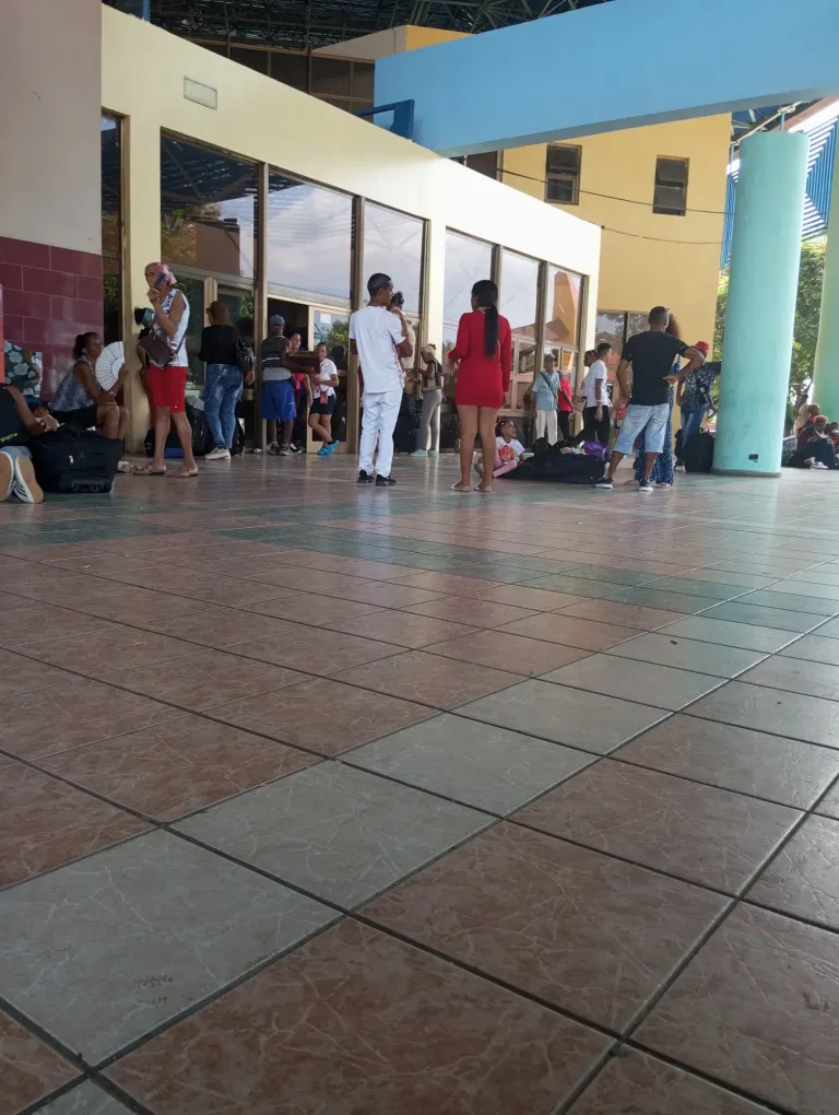IpLl1CYv6j46Xtaw_IMG_20250725_153313.webp
