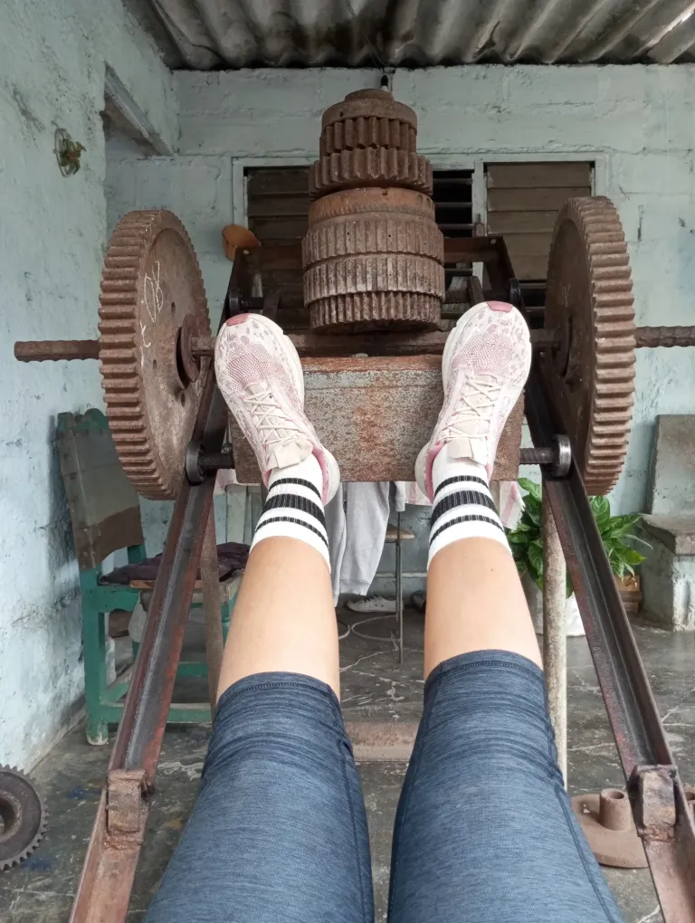 ZvXqZwzPO0Z33oBK_IMG_20250707_095913.webp