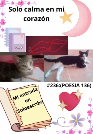 Solo calma en mi corazón/ poema #03 /Mi entrada en Soloescribe