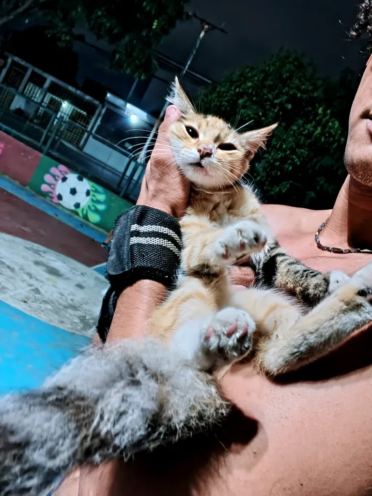 ucXDq3rPXkj67icx_IMG_20240722_200050_353.webp