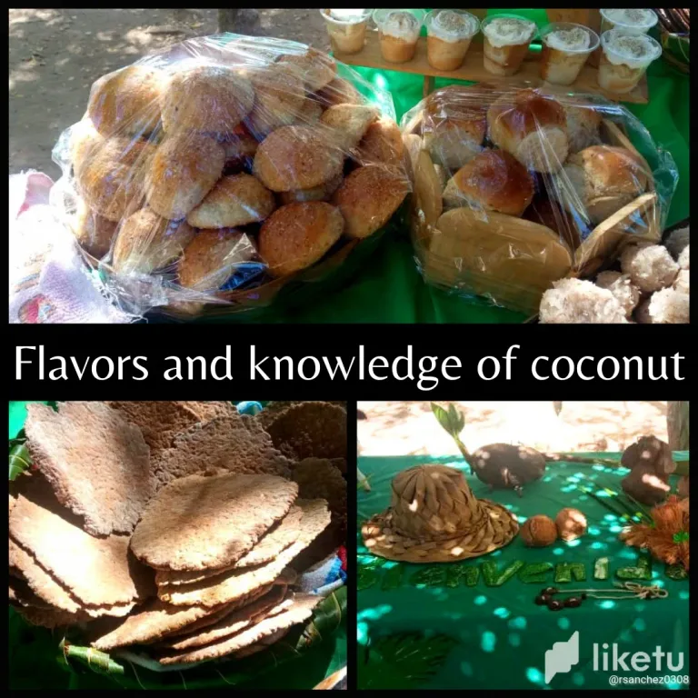 clu1elwdf008897sz2o6acuaw_Flavors_and_knowledge_of_coconut_20240321_112907_0000.webp