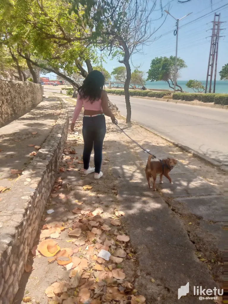 gz9CAqvfHjoVd8K0_WhatsApp_Image_2025-05-17_at_8.02.35_PM.webp