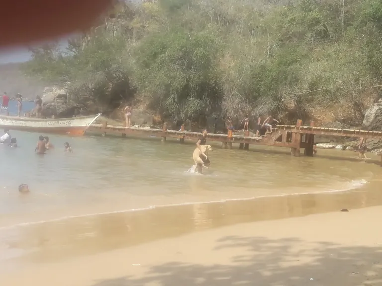 RDoLzSjrDPPQ0CuH_20240204_142634.webp
