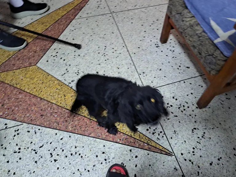 zYIIkz7Tjf8UbHld_1000350142.webp