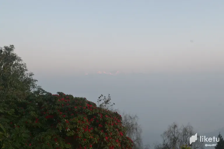 clbdx4q1i02en14oqgm7g5xwi_DSC_1785.webp