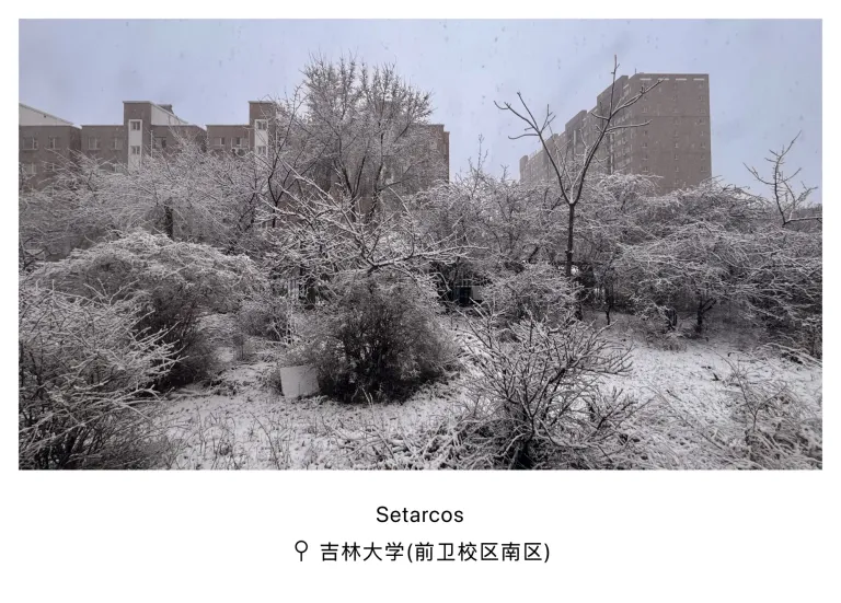 gy6dJVeDfuEvg2oa_IMG_5741.png