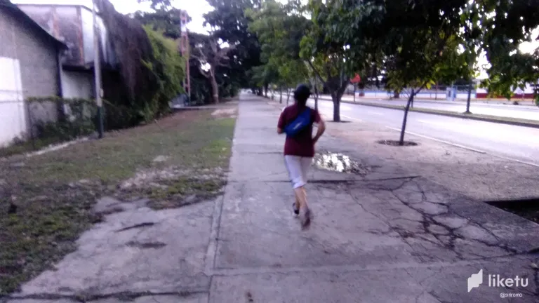CY0Vfm2UXfUeAVcj_IMG_20240728_190424.webp