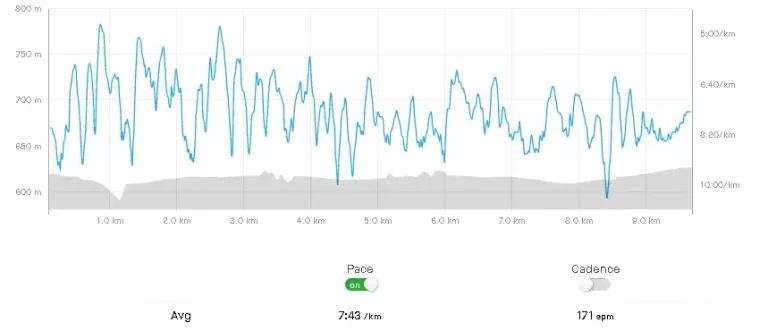 QDyEvcNNlHKR3BX8_Screenshot_2024-09-29_at_19-13-50_Carrera_por_la_tarde_Run_Strava.webp
