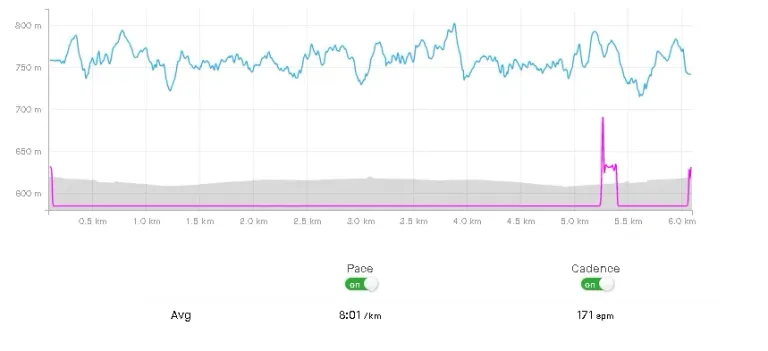 Y1lx5mPfjrVOF2JM_Screenshot_2024-09-15_at_21-24-51_Carrera_vespertina_Run_Strava.webp