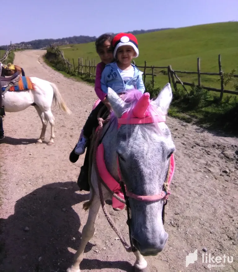 wdTTOogFVHaiOBMv_IMG_20220521_145639.webp