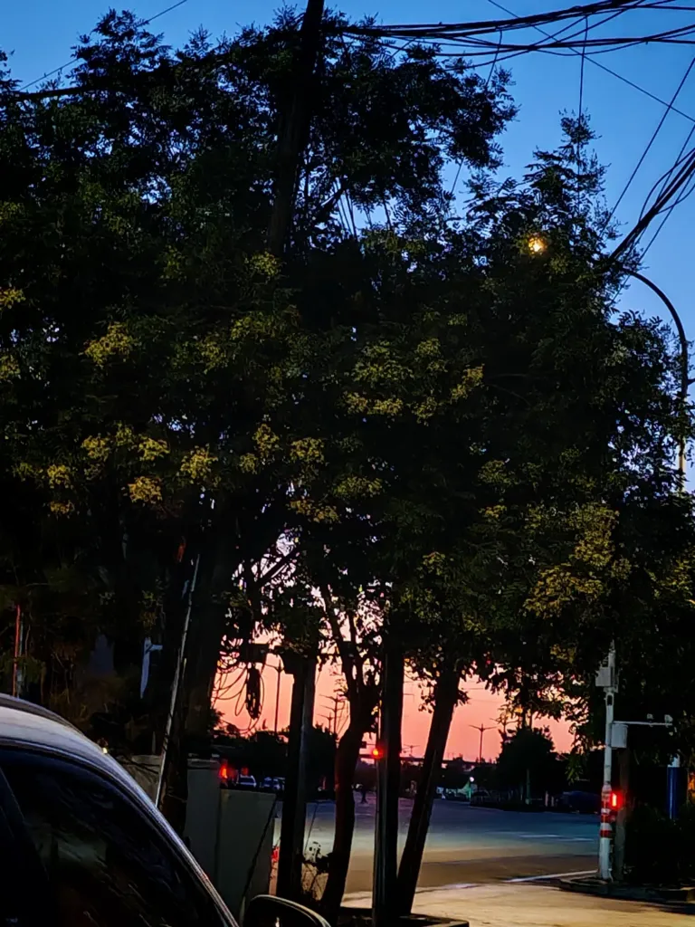 WR83IEHIwQsxrUXh_IMG_20250816_055620.webp