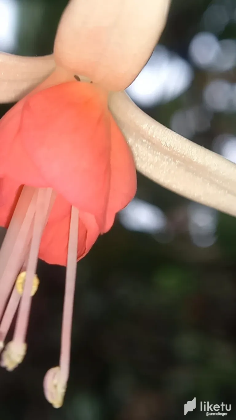 clsm9l2bi0022htszbwod3gxm_cameringo_20240207_171455.webp