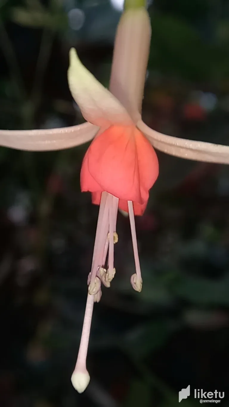 clsm9mpw800m18bsz9d2jhpyk_cameringo_20240207_171425.webp