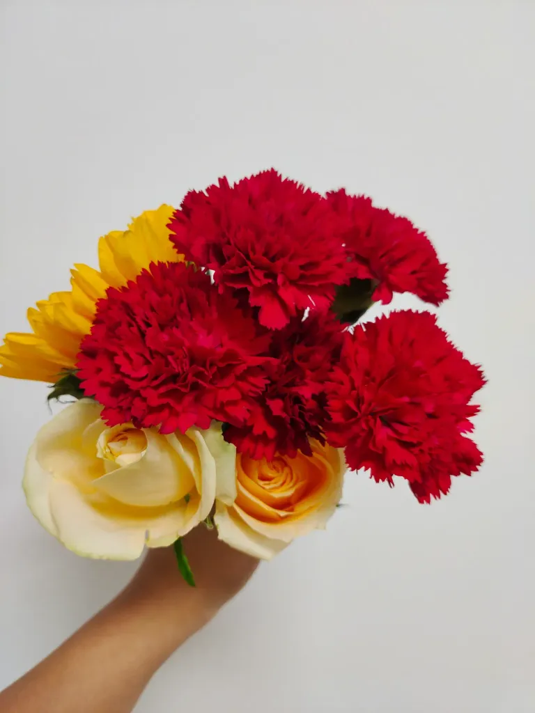 26f4oFceFovWQ2uB_IMG_20250829_180706.webp