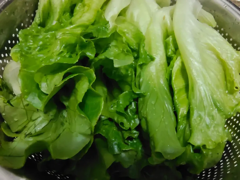 nDFAgmYfXpNvSXBE_IMG_20250812_191247.webp