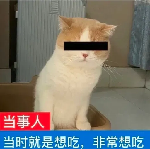 sF4TiYuJl8ViF6xG_Screenshot_20250818_192629.webp