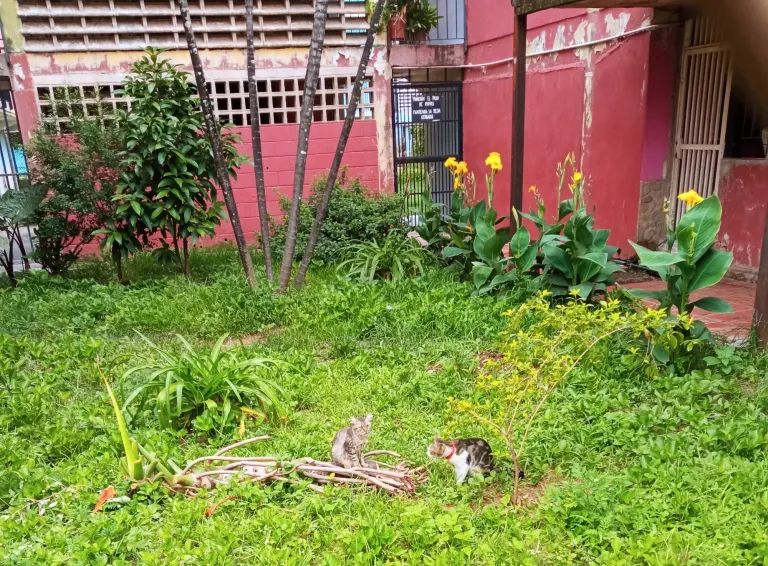 1qhGklghFizWzSln_IMG_20250705_105814.webp