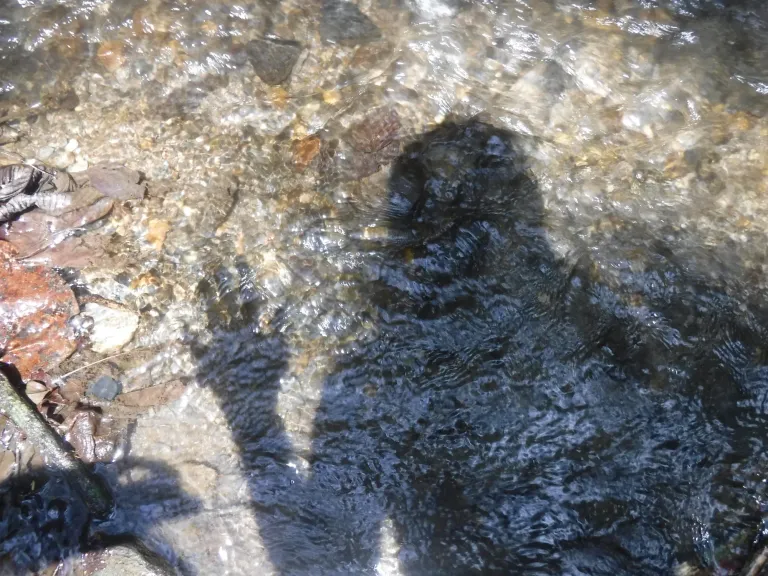 LU5yq54QmvdeXM0t_DSCF8077.webp