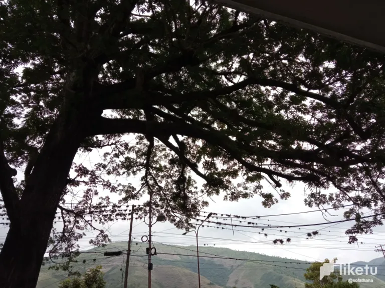 S2CmYIAUBQoT0iCa_IMG_20240618_095333.webp
