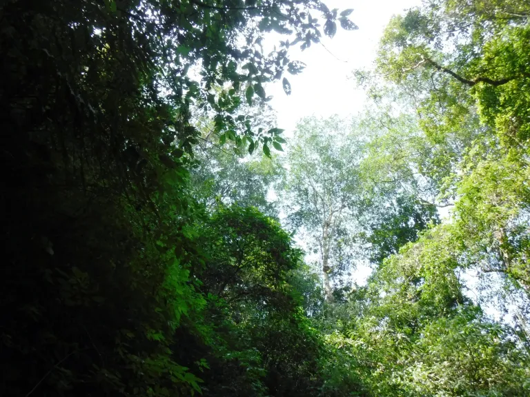 VV1d3gJKrTLCvtuj_DSCF8034.webp