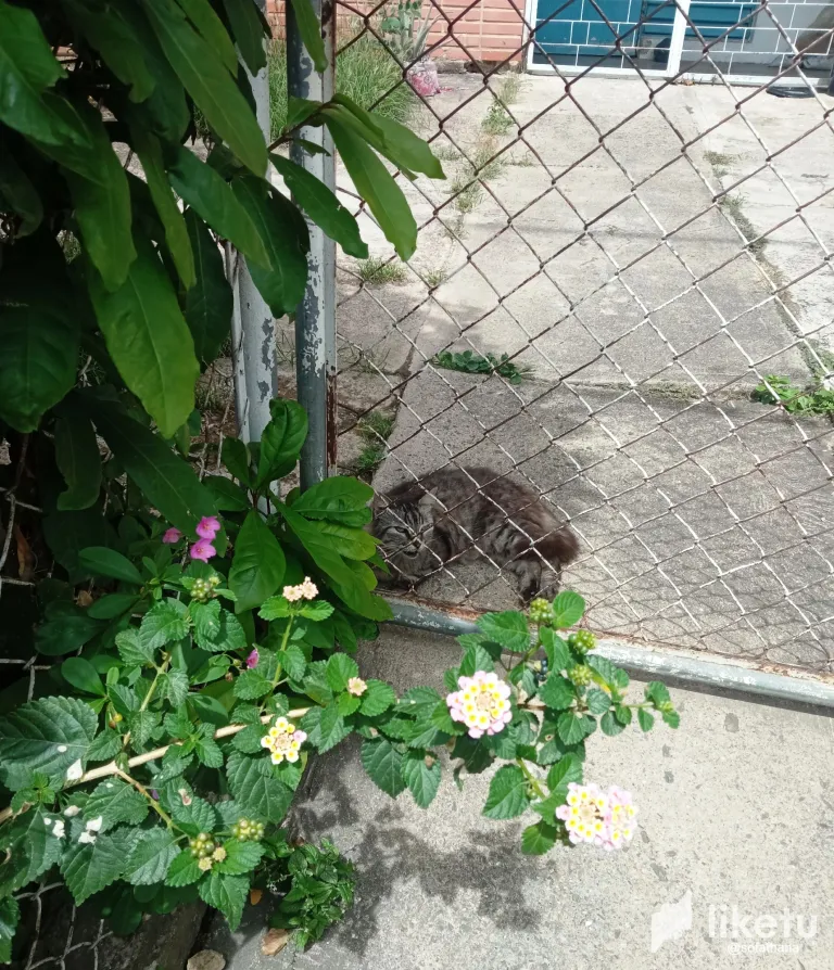 clwzglclc00mk31sz7whhhzyb_IMG_20240520_102849.webp