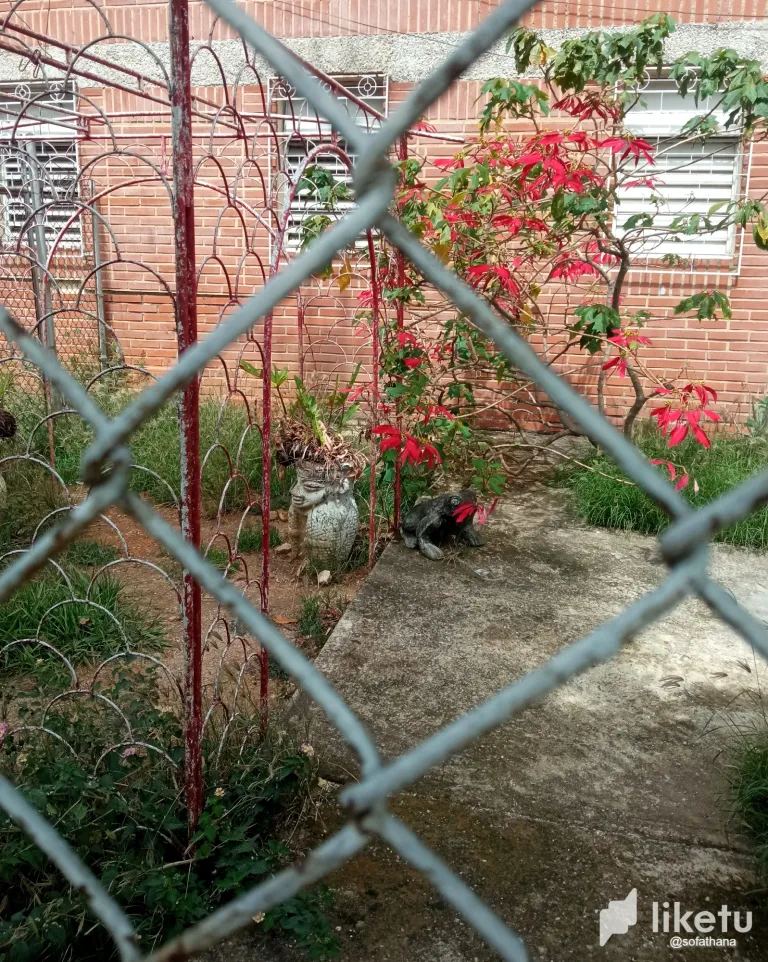 clwzgmo7000n30isz9ate2t2p_IMG_20240520_102900A.webp