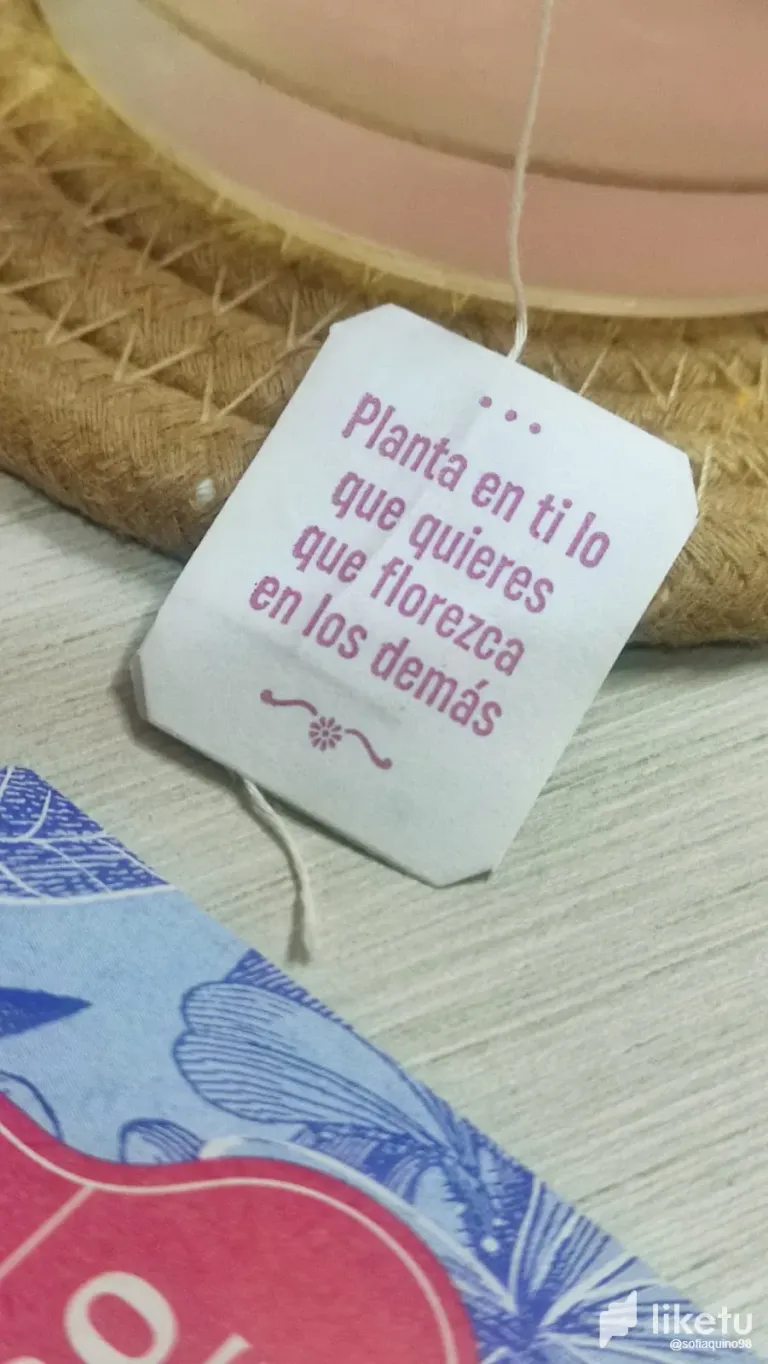 NSVpyoDmb8VjqBi5_Imagen_de_WhatsApp_2024-10-25_a_las_13.31.23_196ce882.webp