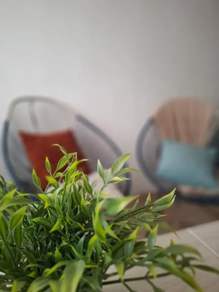 X70t7YJzifUrkTCI_photo_4965298338584964918_y.webp