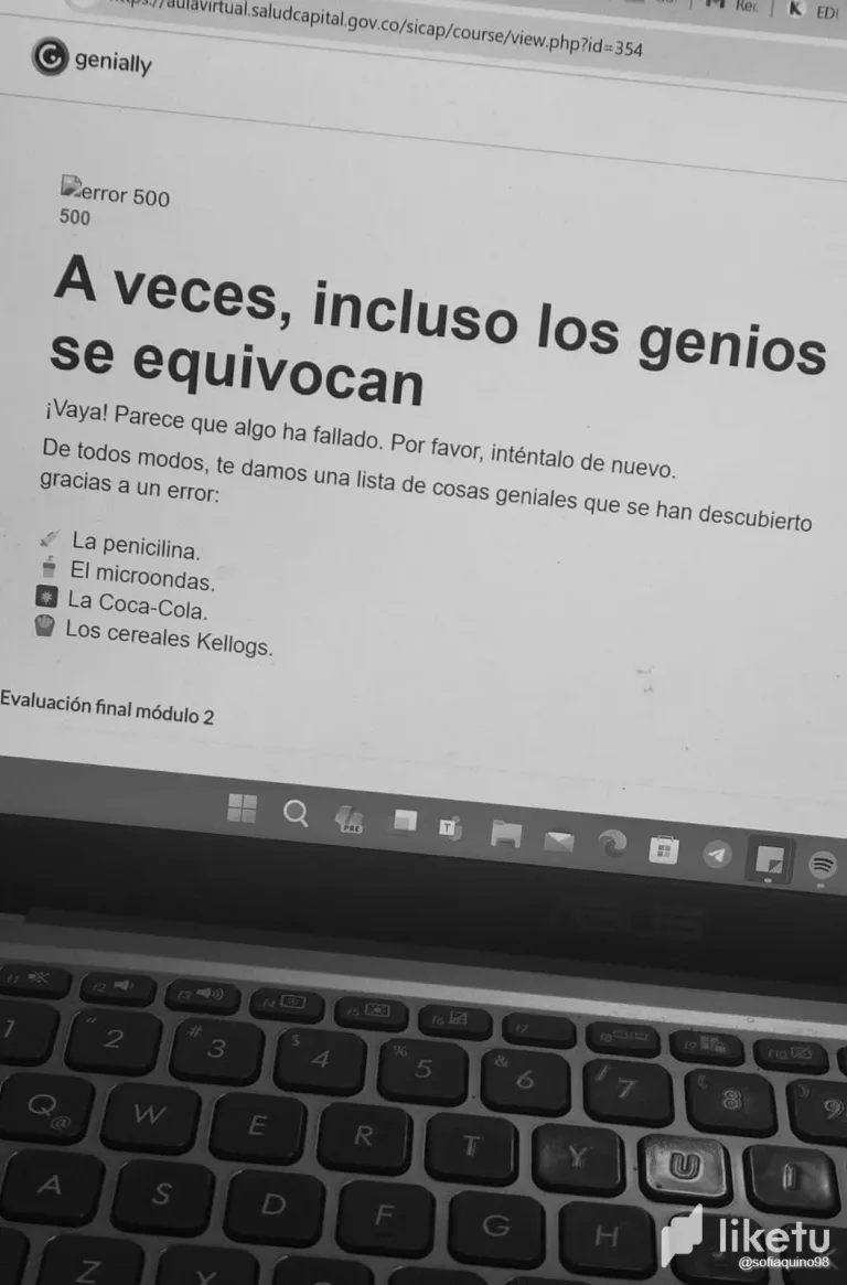 w6k3QwXkvaPxyVVt_WhatsApp_Image_2024-07-01_at_13.47.42_1.webp