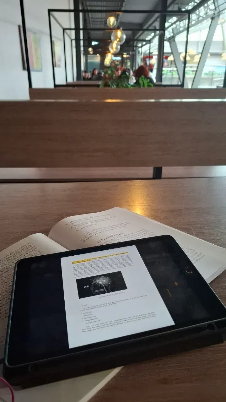 Sobre el aprendizaje autodidacta