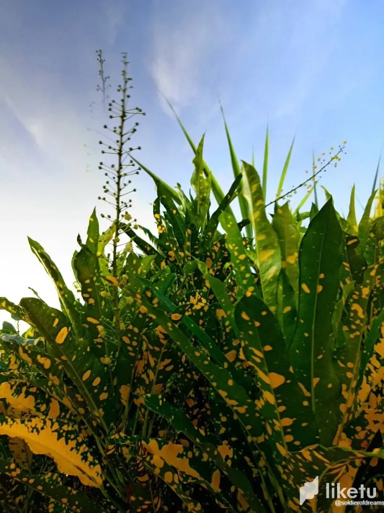 EC8IPt3OAT20Wj5w_photo_1_2025-08-20_19-12-19.webp