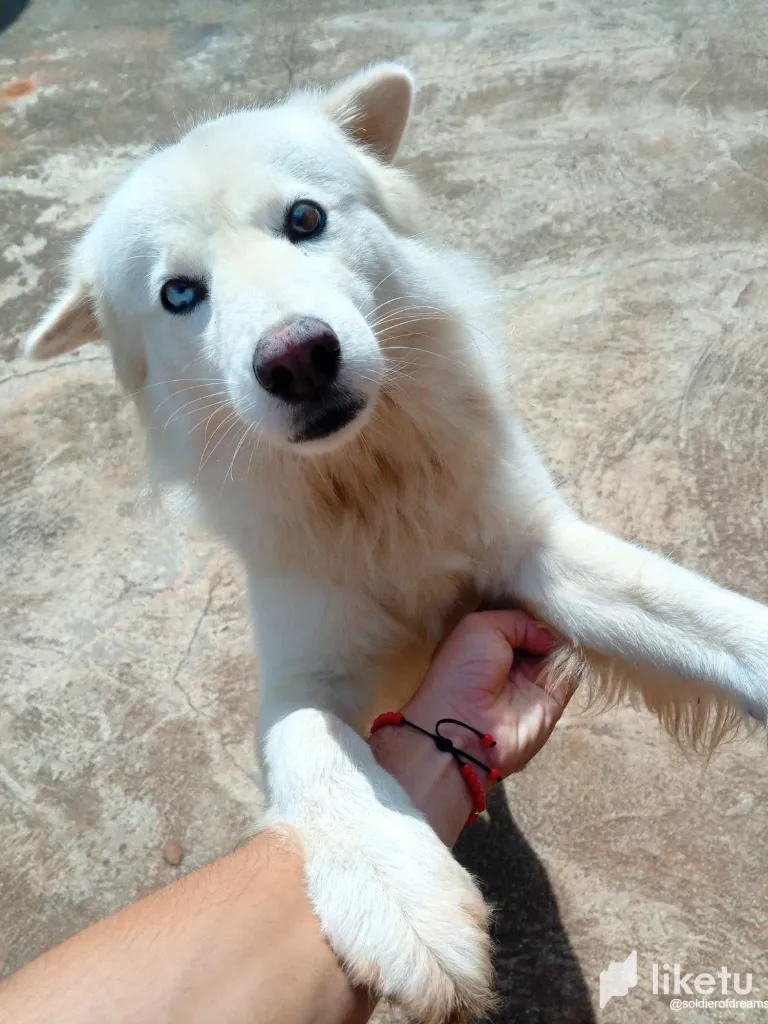 LZjaODR5C5EJrKn5_IMG-20250727-WA0039.webp