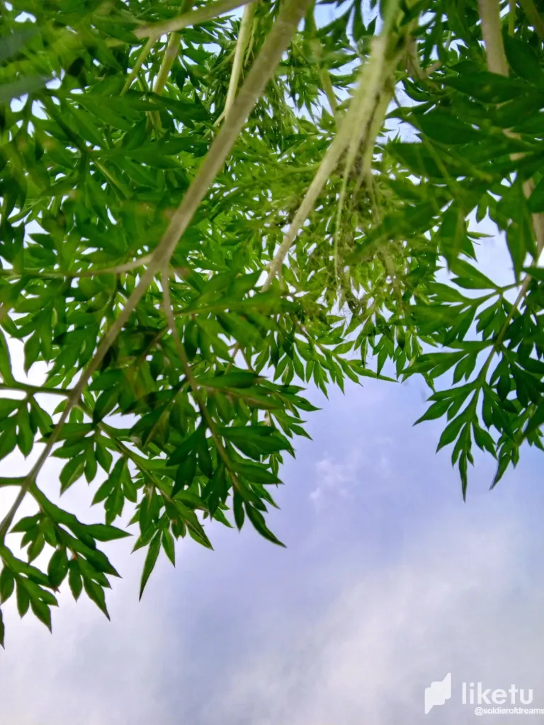 P996L7gIhkOHuvhU_IMG-20250804-WA0249.webp