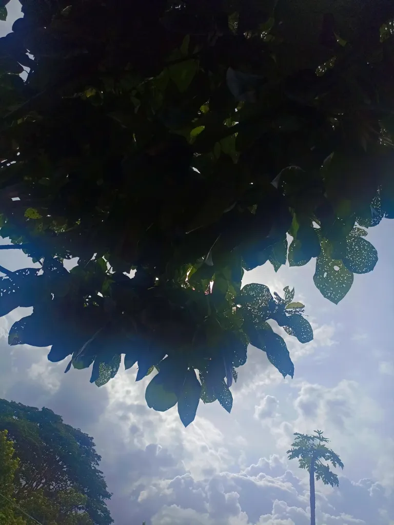 lgkRVxa3KCWvU5RV_20240703_171307_132.webp