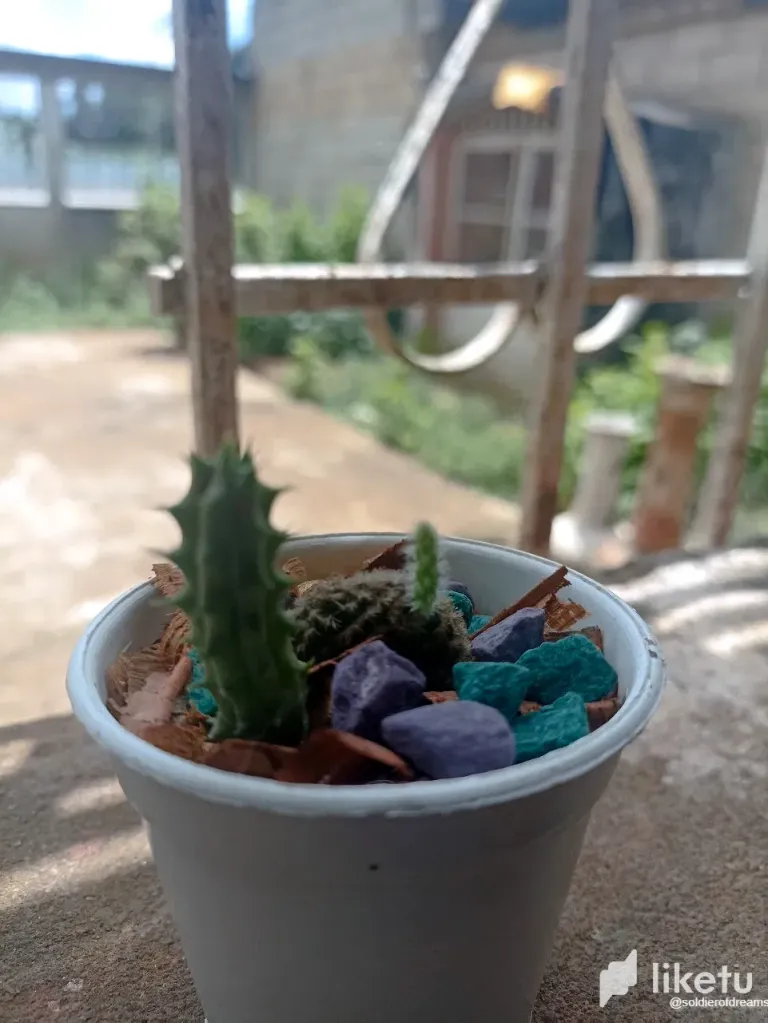 lpWO2LVeEyfNjTpz_photo_4_2025-07-29_13-00-19.webp