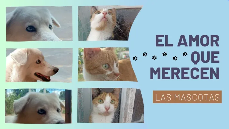 pCHh8PAkdglLpFKn_el_amor_que_merecen_20241124_144752_0000.webp