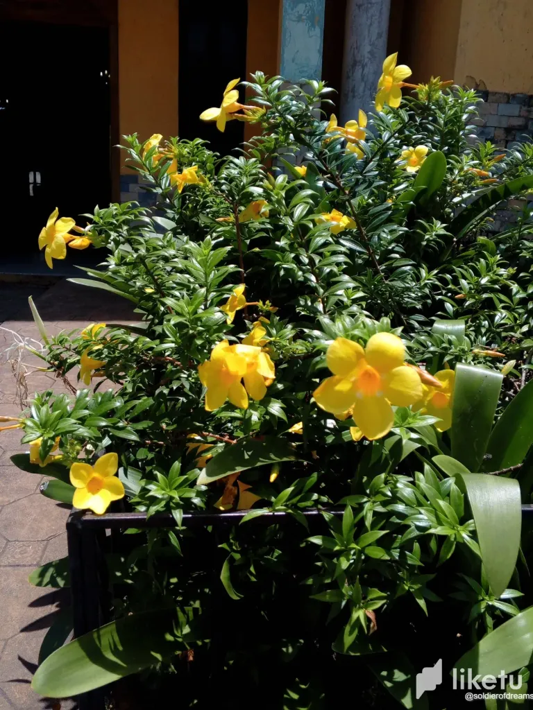shRGXADihA64Kmqs_IMG-20250801-WA0092.webp