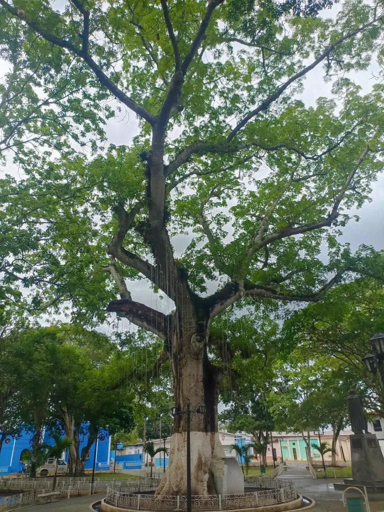 uoVXIZw1ghPIEXBu_20250611_171116_296.webp