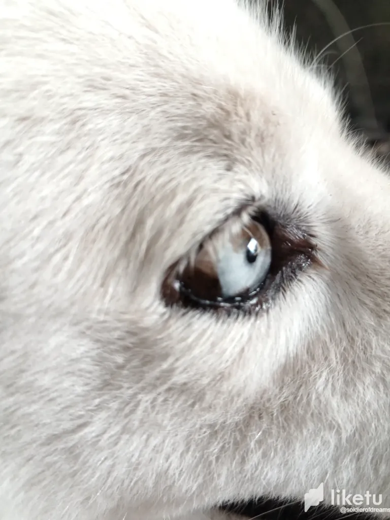 vLKQ6AdFshEWDN7m_IMG-20250727-WA0013.webp