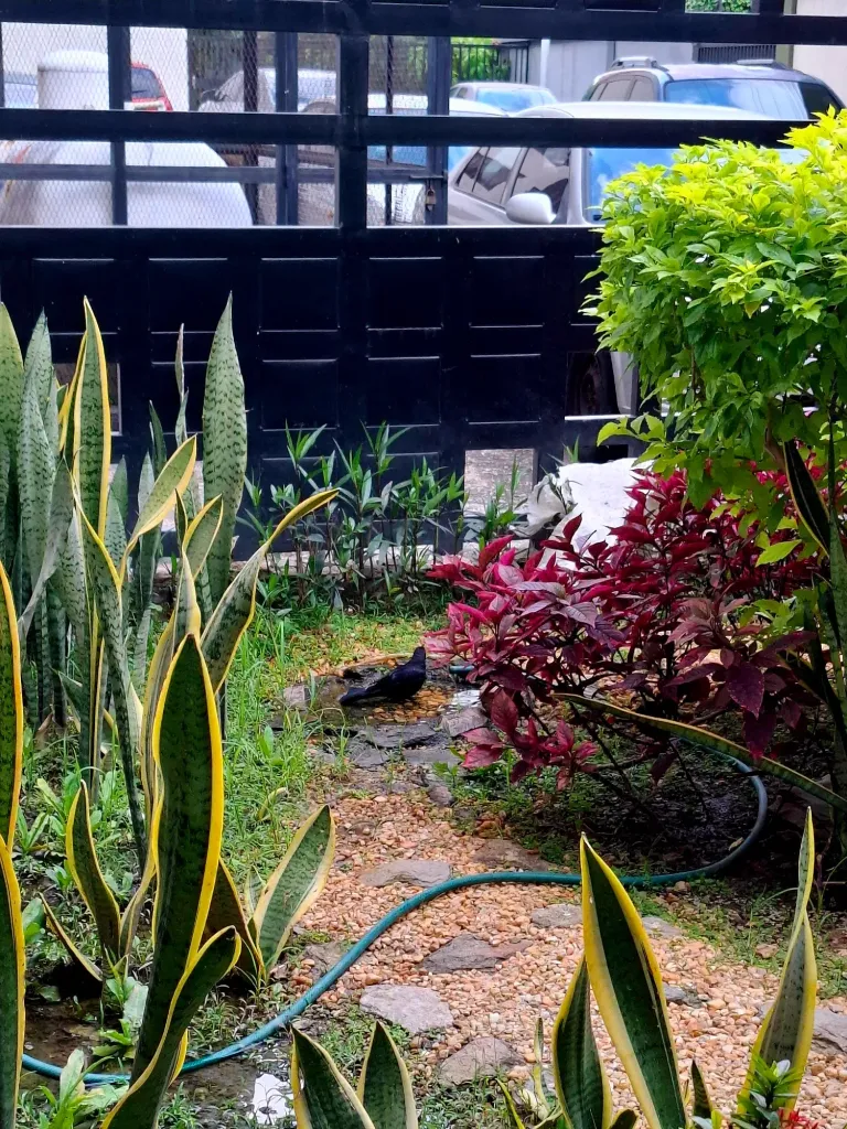 YRCT6VwBKJ5RAXof_20250730_171723.webp