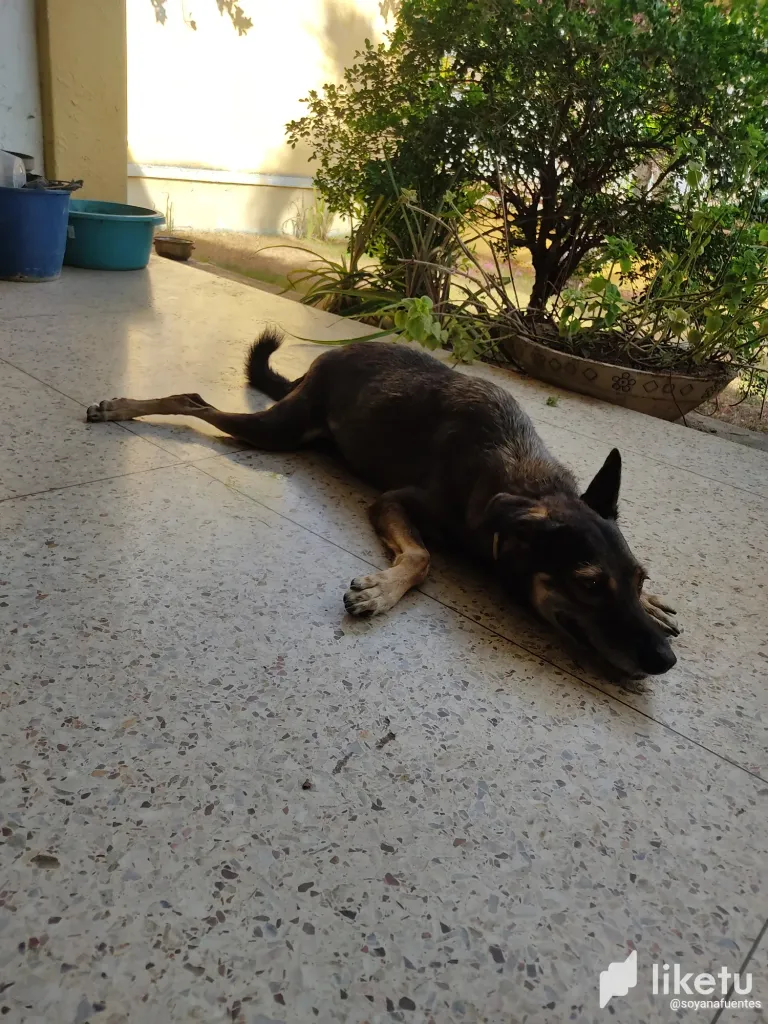 clngjht9n05ad8rszbve49x2s_IMG_20231007_163617.webp