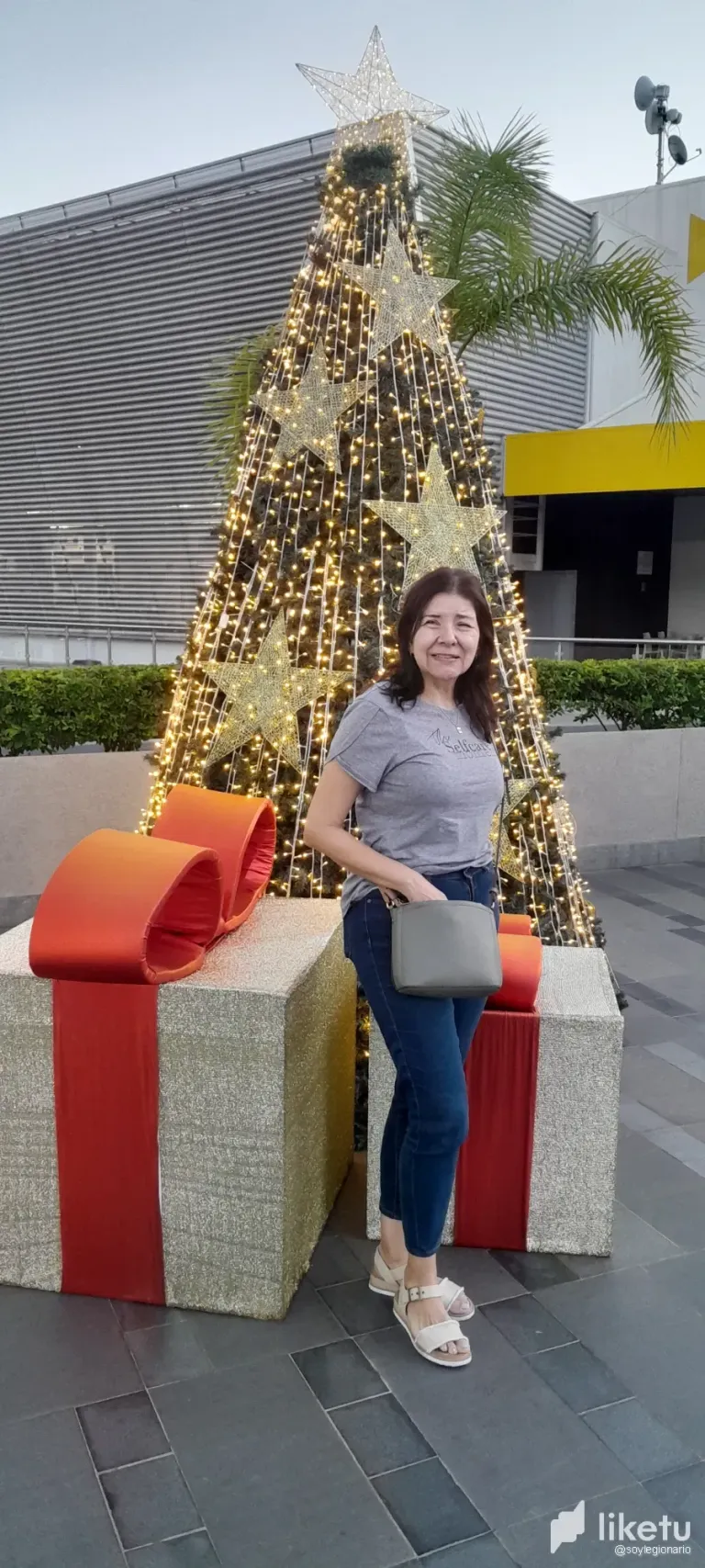 RT2PEornqGNk1EQ7_20241130_180049.webp