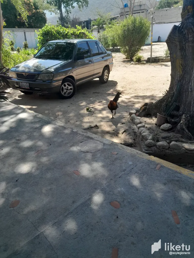 dK6MFe4W9wR0SP2u_20250212_104738.webp