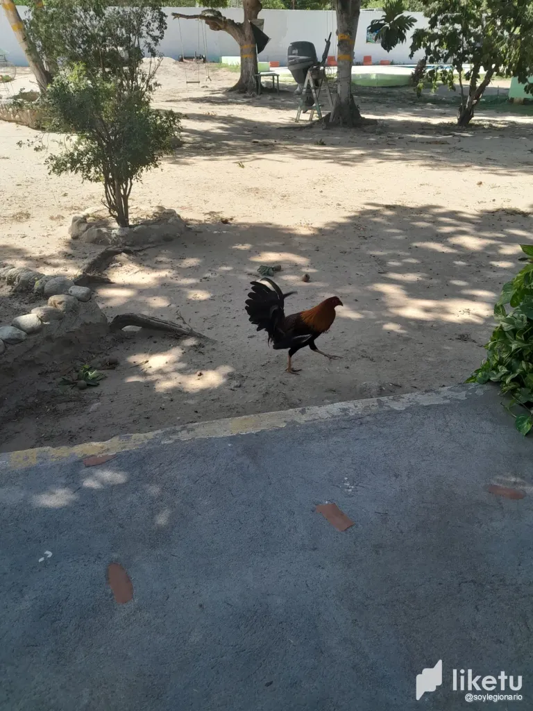 g2GJ6HZGyqTNbzIZ_20250212_104748.webp