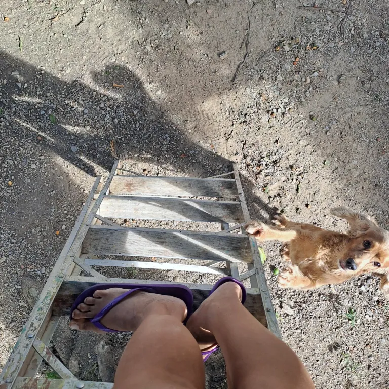 JDIWhQvo4EsCcMoh_1000872406.webp
