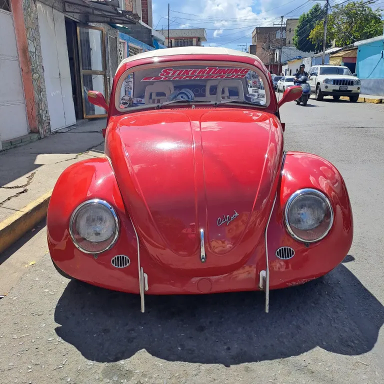 cQDhBeBonjTh2EkV_20241128_113031.webp