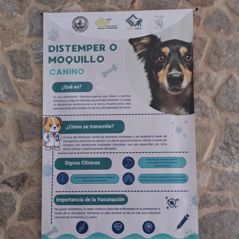 cm1JrrJVb0jvQFpi_20250505_141944.webp