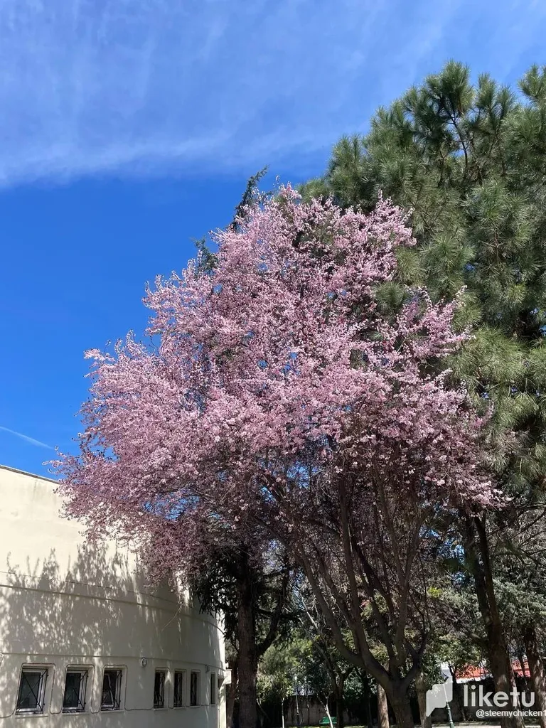 clfkv1bu700uhacszeht09qo9_photo_11_2023-03-22_22-45-50.webp