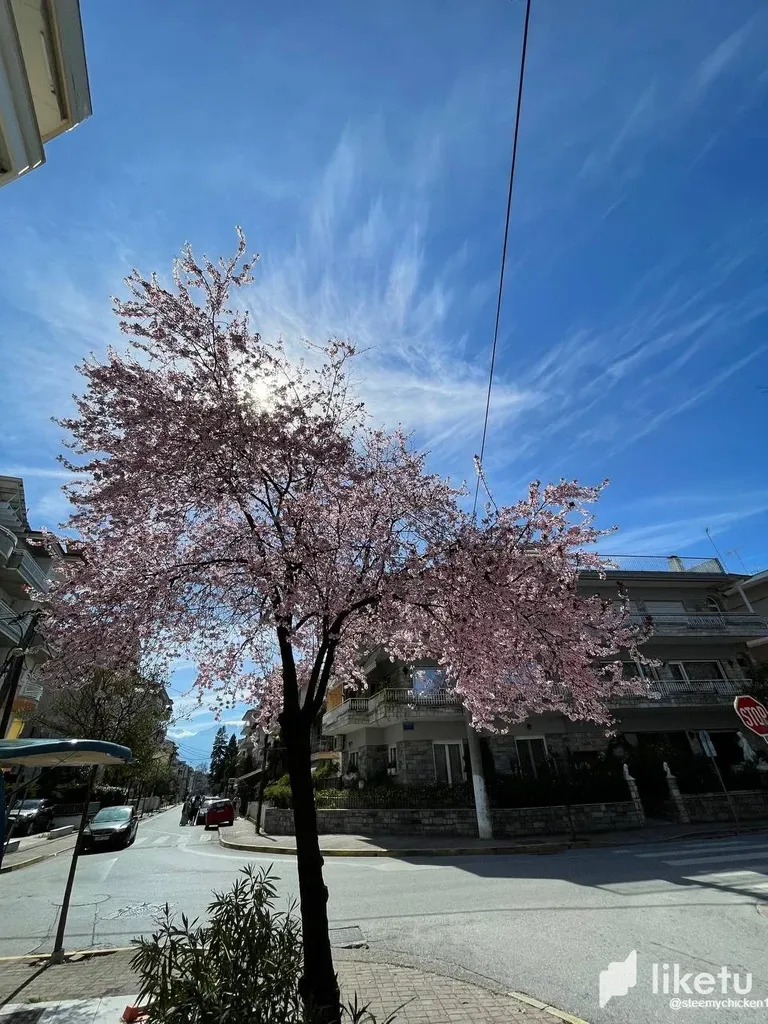 clfkv1qtj00vq98szd2vi1tqx_photo_5_2023-03-22_22-45-50.webp